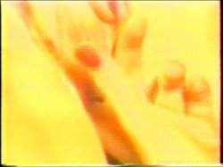 Captura de 'Christy Canyon Triple Feature 3' nº 123