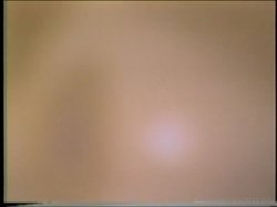 Captura de 'Christy Canyon Triple Feature 3' nº 20
