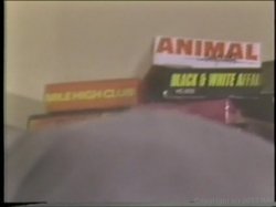 Captura de 'Christy Canyon Triple Feature 3' nº 42