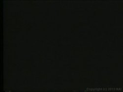 Captura de 'Christy Canyon Triple Feature 3' nº 85
