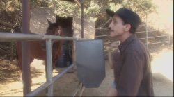 'Bree's Big Campout' screenshot nº 37