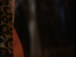 Captura de 'Candida Royalle's One Size Fits All' nº 50
