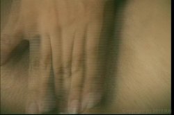 Captura de 'Pretty Little Latinas 8' nº 39