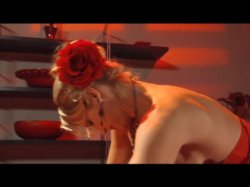 Captura de 'AVN Hall of Famers' nº 50