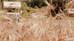'Wasteland Ultra' screenshot nº 20