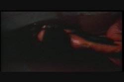 'Swedish Erotica Vol. 88' screenshot nº 34