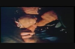 'Swedish Erotica Vol. 88' screenshot nº 39