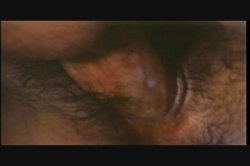 'Swedish Erotica Vol. 88' screenshot nº 135