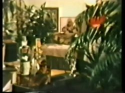 Captura de 'Peepshow Loops 64: '70's & '80's (All Color)' nº 26
