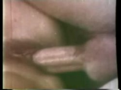 Captura de 'Peepshow Loops 64: '70's & '80's (All Color)' nº 138