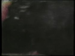 Captura de 'Peepshow Loops 55: '70's & '80s (All Color)' nº 47