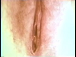 Captura de 'Softcore Nudes 559: '60s & '70s (All Color)' nº 99