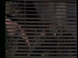 Captura de 'Brats Inc. 2' nº 16