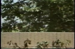 'Buffy Davis Collection' screenshot nº 1