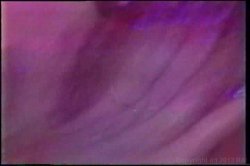 'Buffy Davis Collection' screenshot nº 124