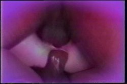 'Buffy Davis Collection' screenshot nº 137