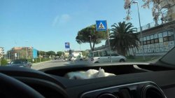 'Le avventure di Gigetto il grilletto' screenshot nº 15