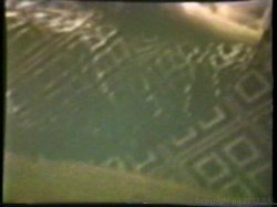 Captura de 'Peepshow Loops 533: 1970's' nº 32