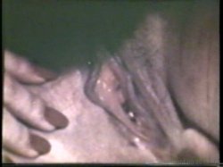 Captura de 'Peepshow Loops 533: 1970's' nº 66