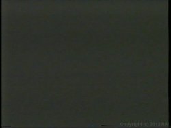 Captura de 'Peepshow Loops 533: 1970's' nº 101