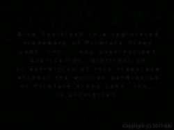 Captura de 'Peepshow Loops 533: 1970's' nº 1