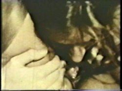 Captura de 'Peepshow Loops 533: 1970's' nº 103