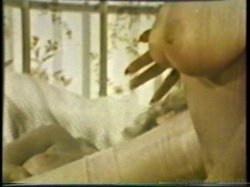 Captura de 'Peepshow Loops 533: 1970's' nº 120