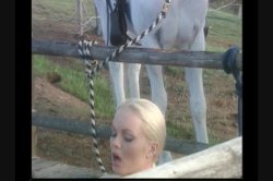 'Barnyard Babes' screenshot nº 83