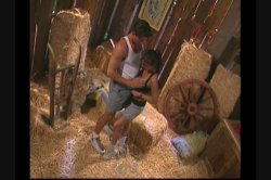 'Barnyard Babes' screenshot nº 88