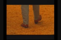 'Barnyard Babes' screenshot nº 125