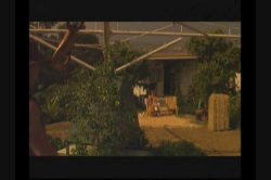 'Barnyard Babes' screenshot nº 128