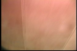 Captura de 'Seymore Butts' Merry Fucking Christmas' nº 22