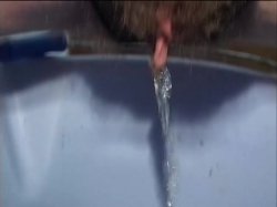 'Colloqui pericolosi' screenshot nº 20