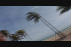'Hot Ethnic Bitches' screenshot nº 2