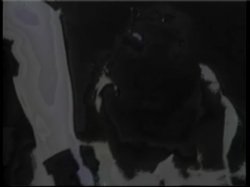 'Cecil Howard's Dreamwalk' screenshot nº 6
