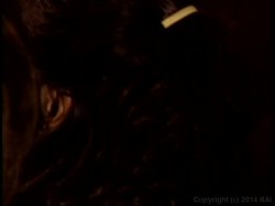 Captura de 'Gangbang Girl 9' nº 9