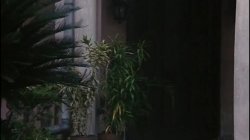 Captura de 'L'alcova dei piaceri proibiti' nº 1