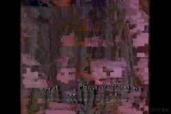 'Les Femmes Erotiques' screenshot nº 3