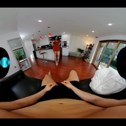 'Pushing the Maxim' screenshot nº 2