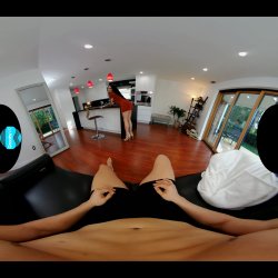 'Pushing the Maxim' screenshot nº 3