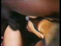 'Troie Si Nasce Puttane Di Siventa' screenshot nº 126