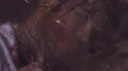 Captura de 'Under the Bed' nº 1