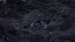 Captura de 'Under the Bed' nº 122