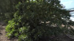 'AMK Hardcore 5' screenshot nº 66