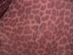 'Adrienne Manning Jerk Off Encouragement Pantyhose' screenshot nº 109