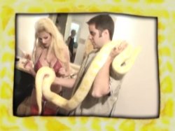 Captura de 'V. I. P. - Taylor Wane' nº 117
