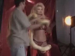 Captura de 'V. I. P. - Taylor Wane' nº 124