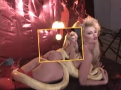 Captura de 'V. I. P. - Taylor Wane' nº 135