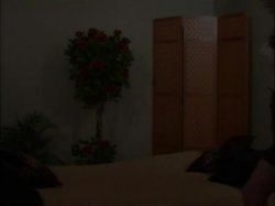 Captura de 'Home Alone With Officer Jewell' nº 5