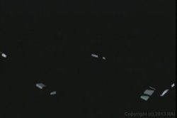 'Asian Coeds' screenshot nº 1